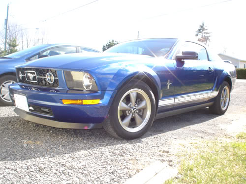 Name:  chin03.jpg
Views: 47
Size:  54.6 KB