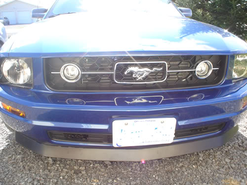 Name:  chin04.jpg
Views: 56
Size:  50.7 KB