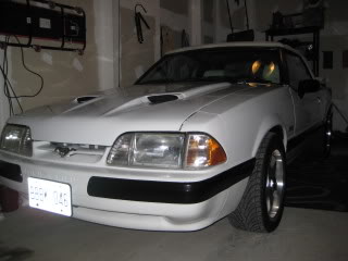 Name:  IMG_2920.jpg
Views: 114
Size:  16.7 KB