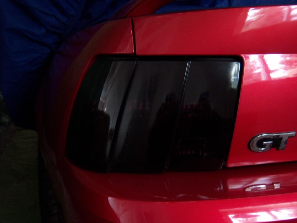 Name:  100_0578.jpg
Views: 58
Size:  63.1 KB