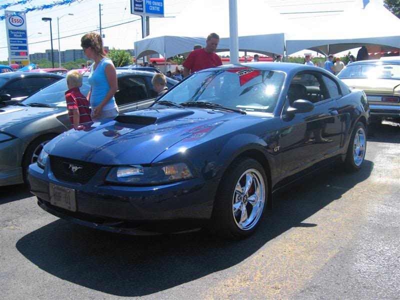 Name:  IMG_8659Medium.jpg
Views: 88
Size:  78.8 KB