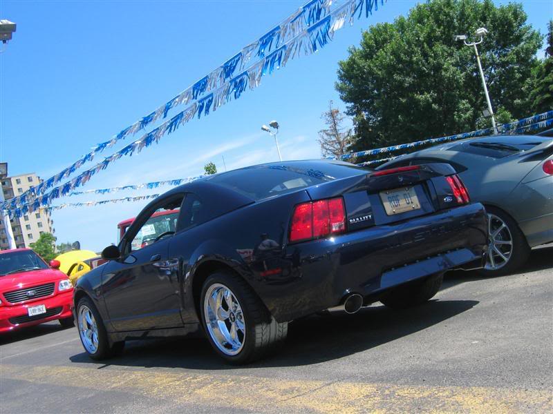 Name:  IMG_8704Medium.jpg
Views: 79
Size:  80.1 KB