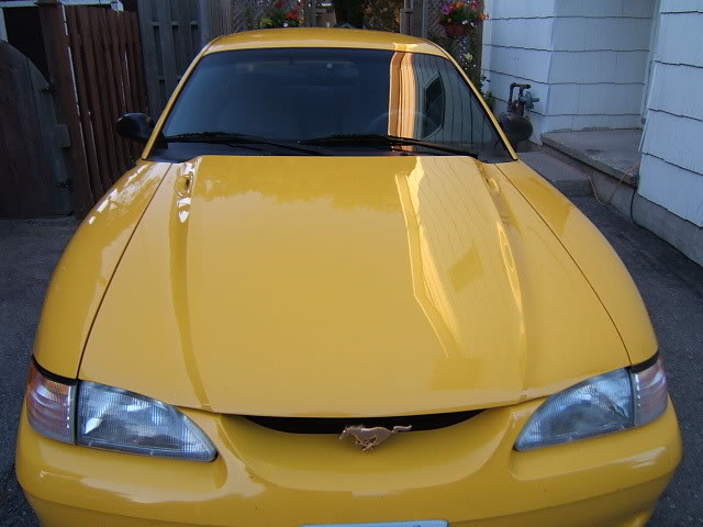 Name:  Picture024-1.jpg
Views: 23
Size:  51.1 KB