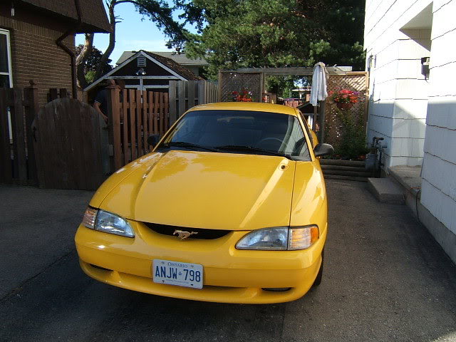 Name:  Picture018.jpg
Views: 23
Size:  71.5 KB