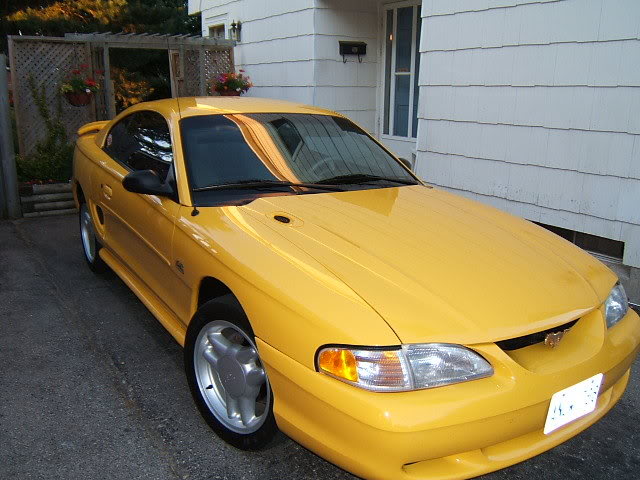 Name:  Picture025-1.jpg
Views: 22
Size:  64.9 KB