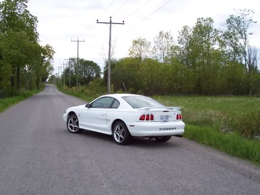 Name:  fc7f7431.jpg
Views: 30
Size:  48.0 KB