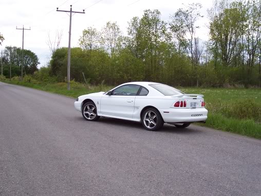 Name:  fd5208d0.jpg
Views: 27
Size:  51.0 KB