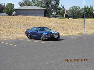 IMM#38 Pics (1)-img_2460%5B2%5D.jpg