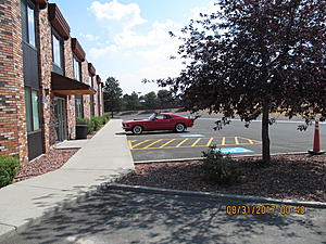 IMM#38 Pics (1)-img_2461%5B1%5D.jpg