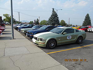 IMM#38 Pics (1)-img_2466%5B1%5D.jpg