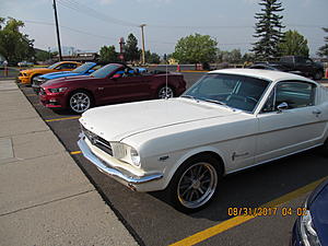 IMM#38 Pics (1)-img_2469%5B1%5D.jpg