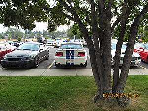 IMM#38 Pics (2)-img_2475%5B1%5D.jpg