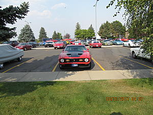 IMM#38 Pics (2)-img_2482%5B1%5D.jpg