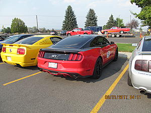 IMM#38 Pics (3)-img_2494%5B1%5D.jpg