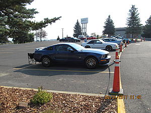 IMM#38 Pics (3)-img_2495%5B1%5D.jpg