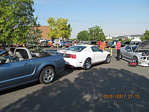 IMM#38 Pics (3)-img_2499%5B1%5D.jpg