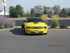 IMM#38 Pics (3)-img_2501%5B1%5D.jpg