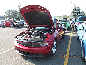 IMM#38 pics (4)-img_2507%5B1%5D.jpg