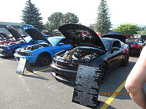 IMM#38 pics (4)-img_2511%5B1%5D.jpg