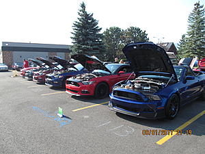 IMM#38 pics (4)-img_2513%5B1%5D.jpg