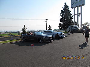 IMM#38 pics (4)-img_2514%5B1%5D.jpg