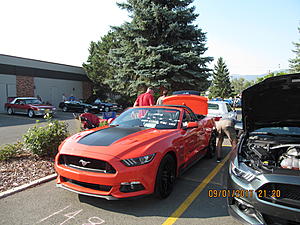 IMM#38 pics (4)-img_2515%5B1%5D.jpg