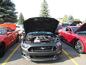 IMM#38 pics (4)-img_2516%5B1%5D.jpg