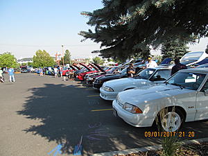 IMM#38 pics (4)-img_2519%5B1%5D.jpg