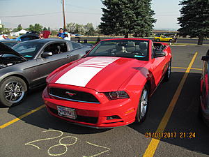 IMM#38 Pics (5)-img_2523%5B1%5D.jpg