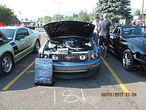 IMM#38 Pics (5)-img_2524%5B2%5D.jpg