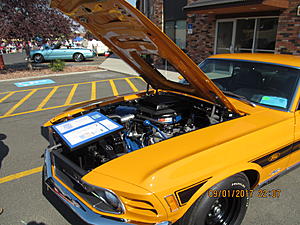 IMM#38 Pics (5)-img_2527%5B1%5D.jpg