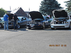 IMM#38 Pics (5)-img_2528%5B1%5D.jpg