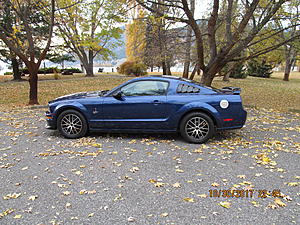 2007 GT restoration finally complete-img_2668.jpg