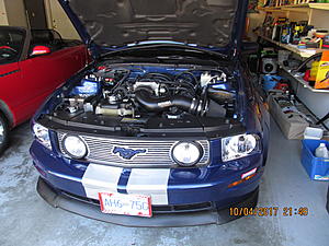 2007 GT restoration finally complete-img_2560.jpg