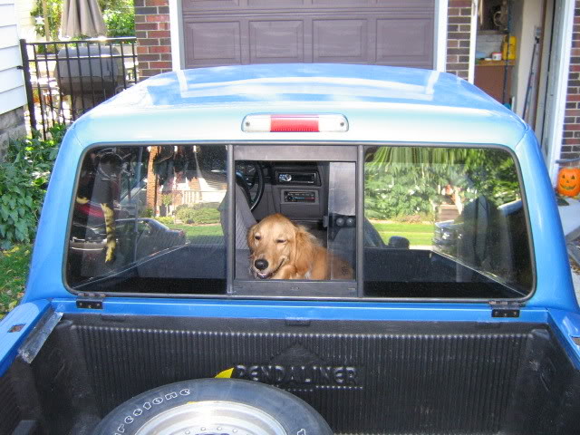 Name:  BodyShots010.jpg
Views: 26
Size:  81.1 KB