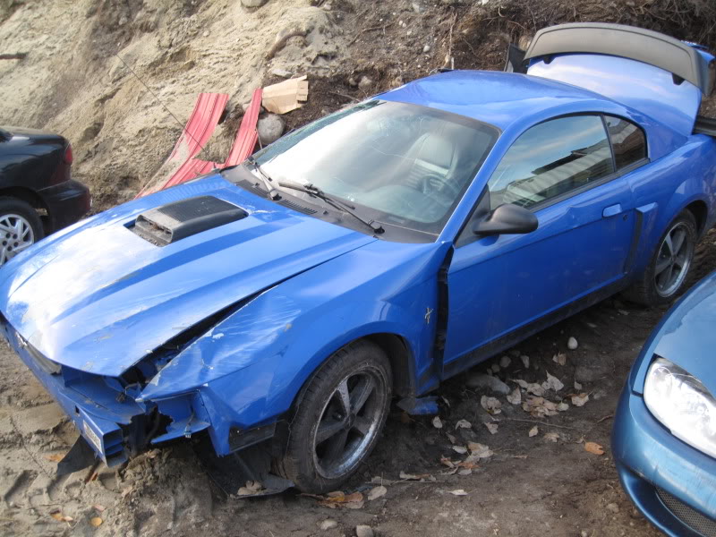 Name: 007.jpg
Views: 120
Size: 118.5 KB