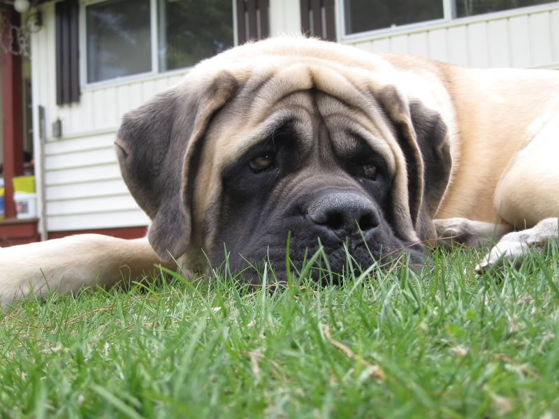 Name: 010.jpg
Views: 147
Size: 101.9 KB