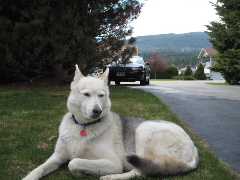 Name: 012.jpg
Views: 139
Size: 93.1 KB