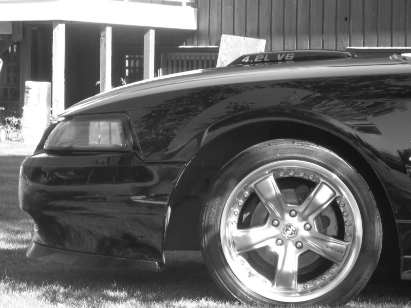 Name:  024.jpg
Views: 197
Size:  78.1 KB