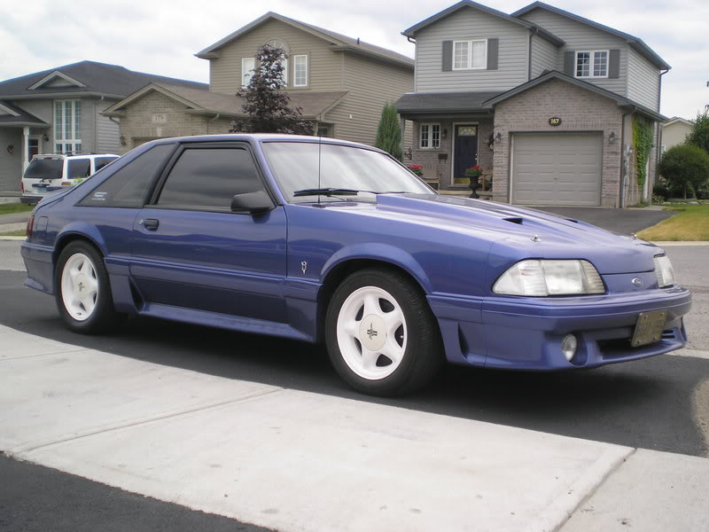 Name:  P7140037.jpg
Views: 22
Size:  69.0 KB