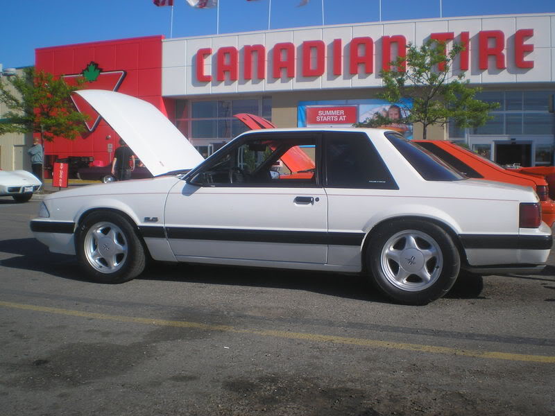 Name:  P6010102.jpg
Views: 26
Size:  80.6 KB