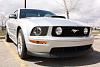 western stangs-mustang-2010.jpg